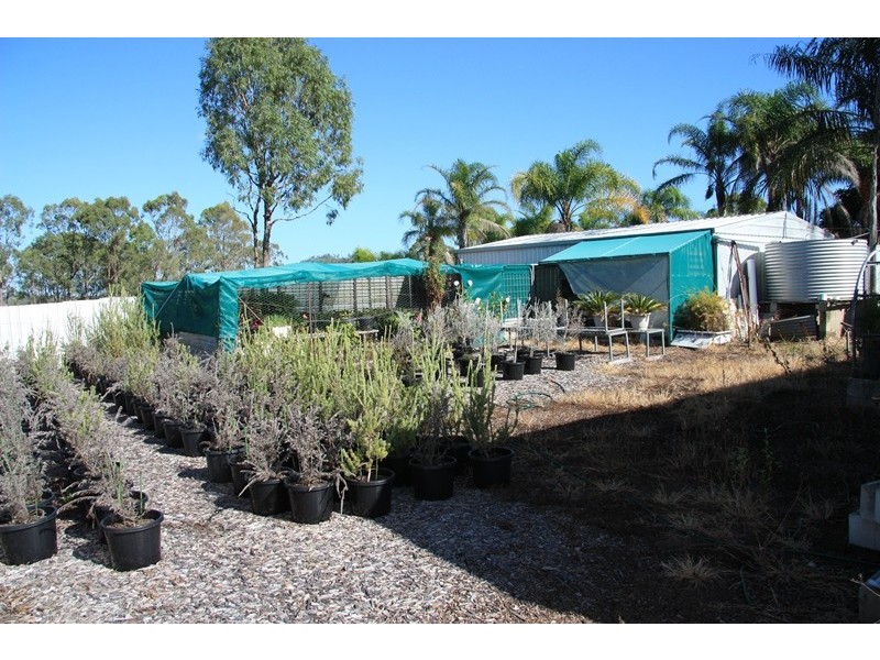 Lower Wonga QLD 4570