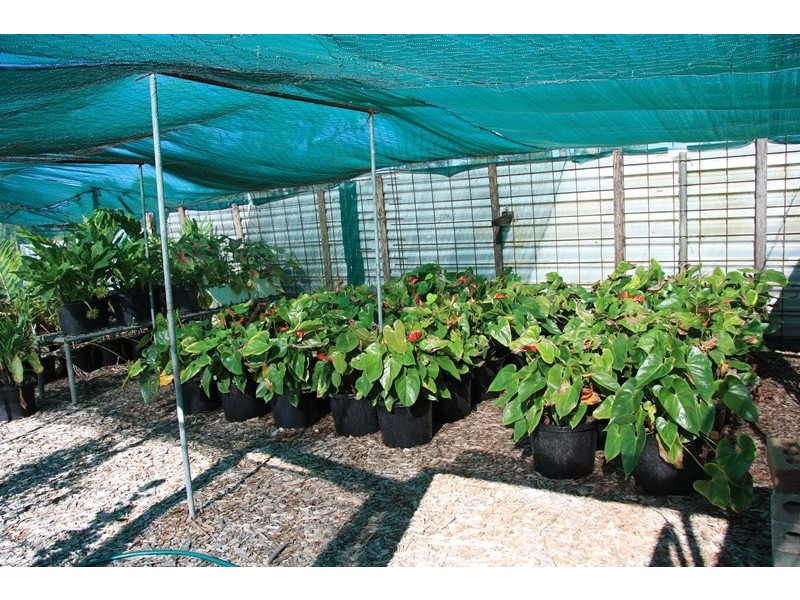 Lower Wonga QLD 4570