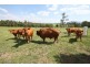 Widgee QLD 4570