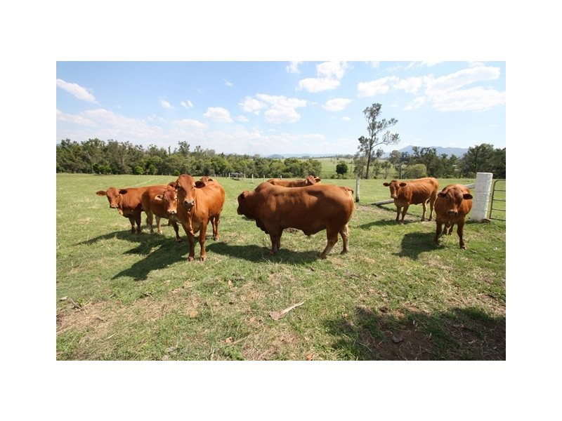Widgee QLD 4570