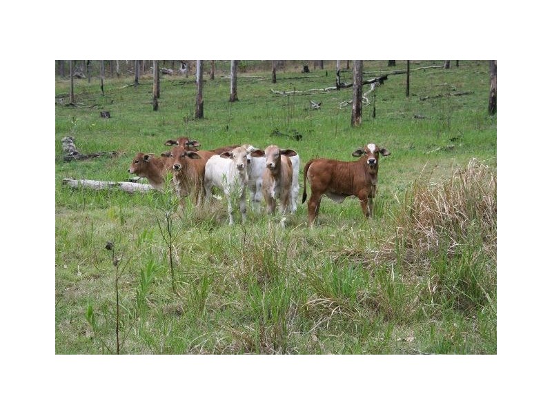 Mudlo QLD 4600