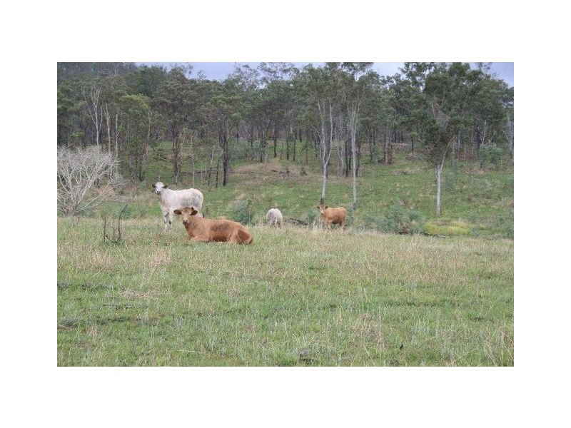 Mudlo QLD 4600