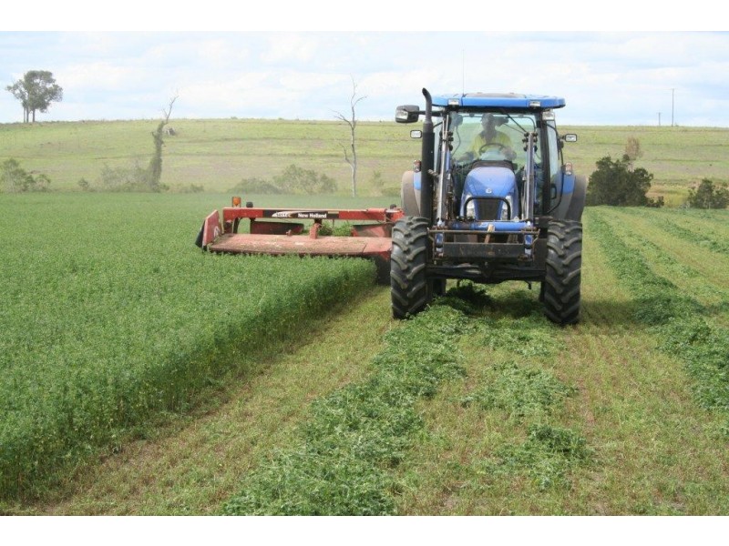 Cinnabar QLD 4600