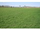 Cinnabar QLD 4600