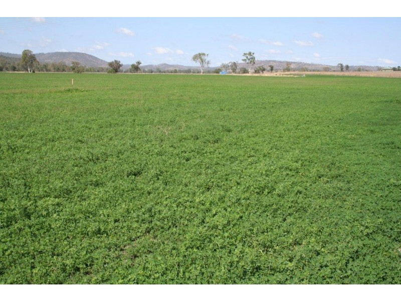 Cinnabar QLD 4600