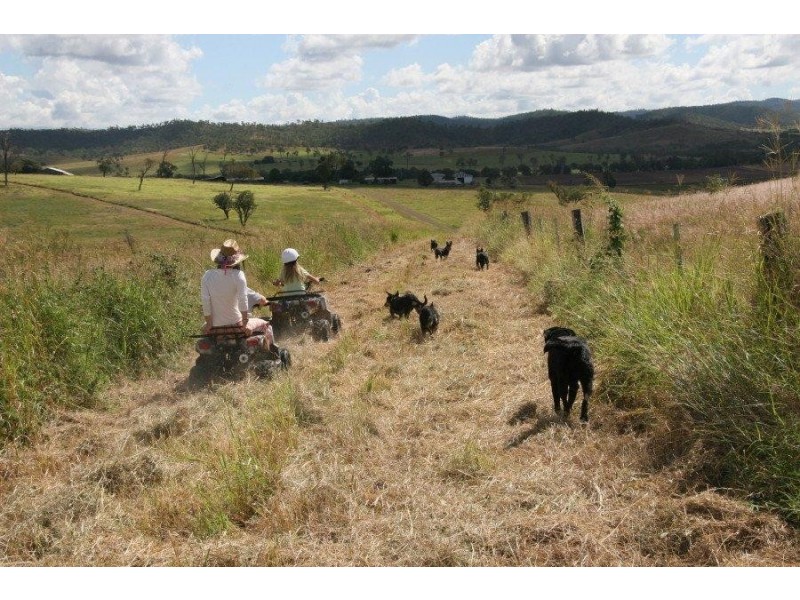 Cinnabar QLD 4600