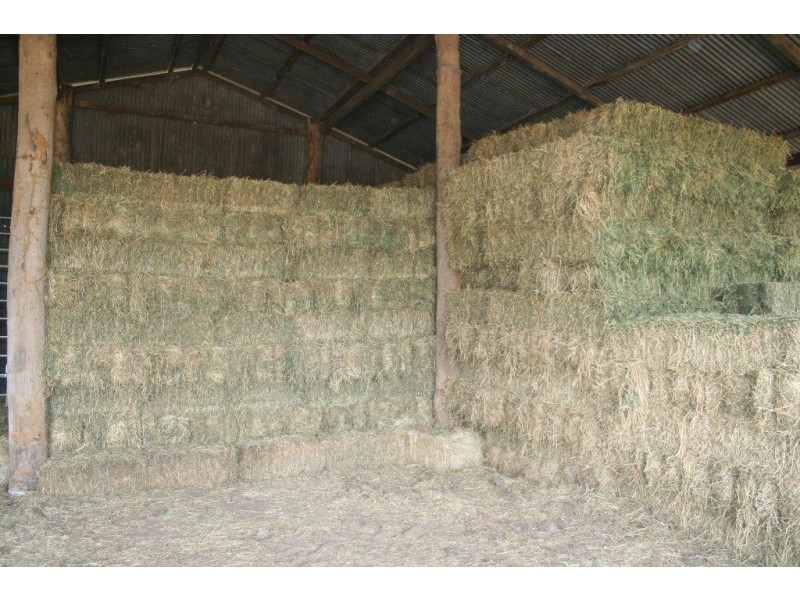 Cinnabar QLD 4600