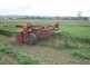 Cinnabar QLD 4600