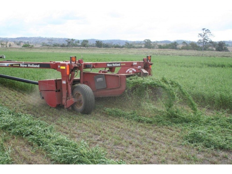 Cinnabar QLD 4600