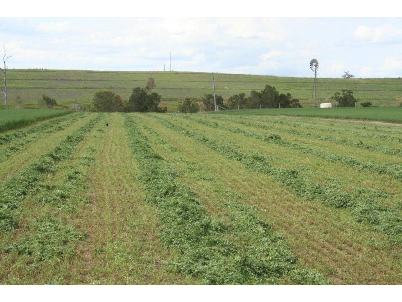 Cinnabar QLD 4600