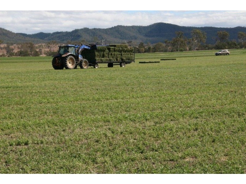 Cinnabar QLD 4600