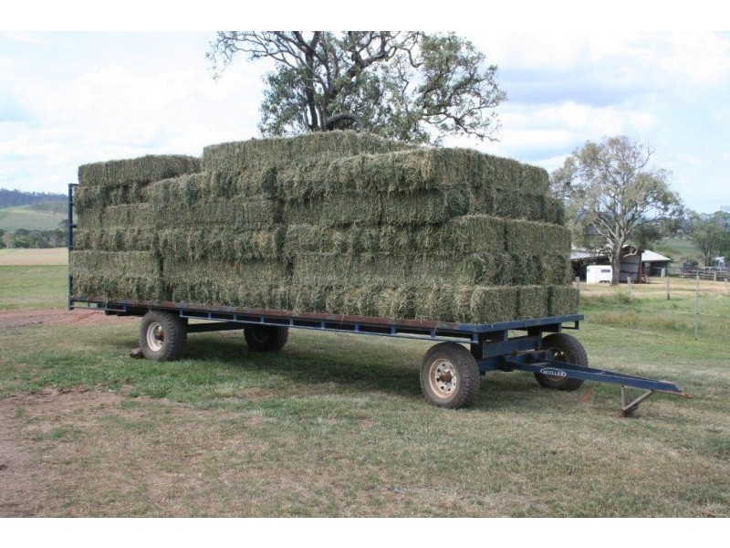Cinnabar QLD 4600