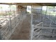 Cinnabar QLD 4600