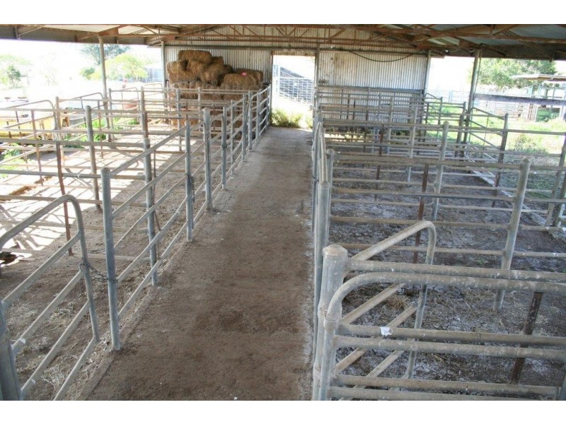 Cinnabar QLD 4600