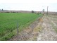 Cinnabar QLD 4600