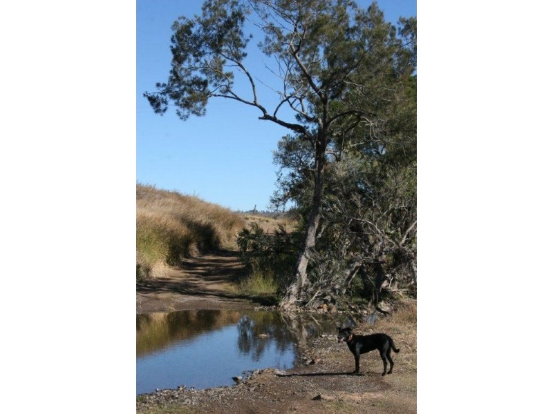 Cinnabar QLD 4600
