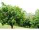 104 Butler Road, Lagoon Pocket QLD 4570