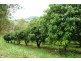 104 Butler Road, Lagoon Pocket QLD 4570