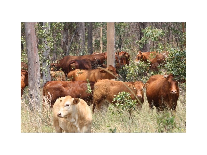 Glenwood QLD 4570