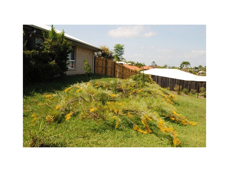 25 Federation Court, Southside QLD 4570