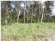 Lot 2 Snow Court, Tamaree QLD 4570