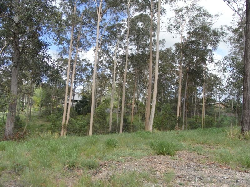 Lot 2 Snow Court, Tamaree QLD 4570