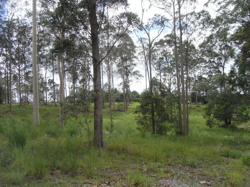 Lot 4 Snow Court, Tamaree QLD 4570