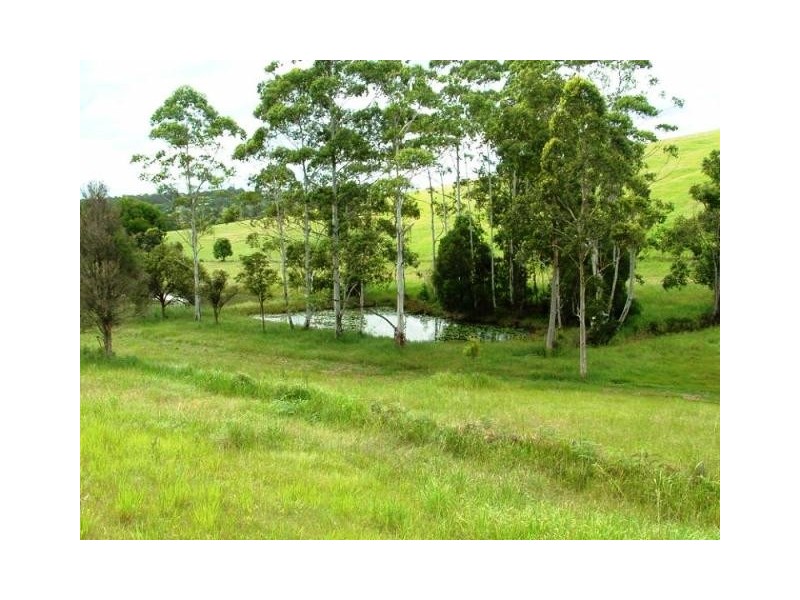 81 Tatnell Road, North Deep Creek QLD 4570