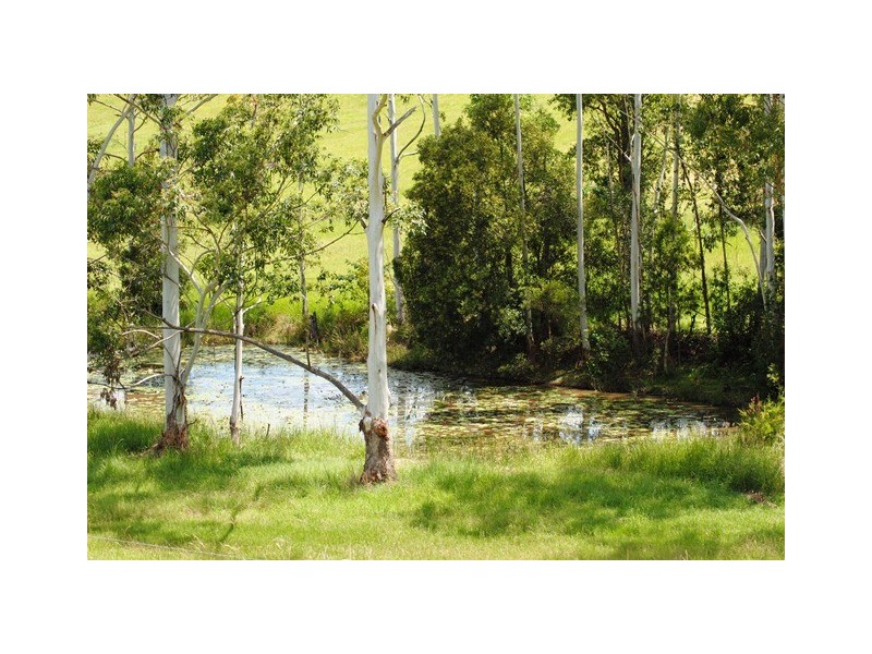 81 Tatnell Road, North Deep Creek QLD 4570
