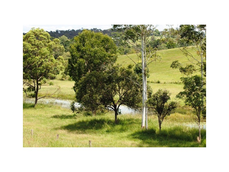 81 Tatnell Road, North Deep Creek QLD 4570