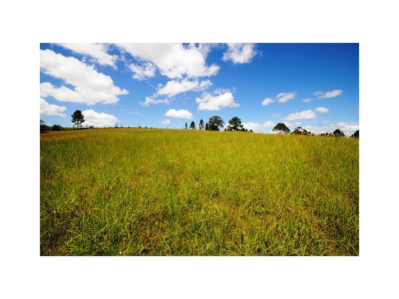 81 Tatnell Road, North Deep Creek QLD 4570