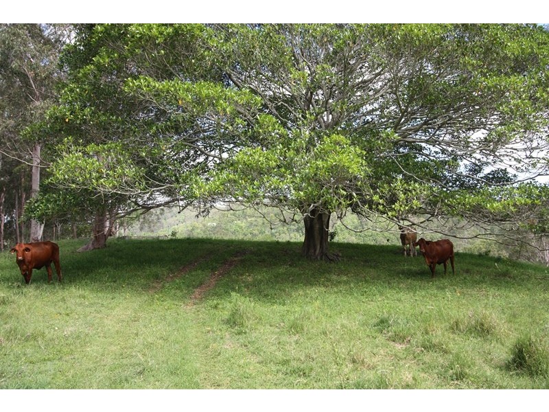 955 Glastonbury Road, Glastonbury QLD 4570