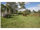 955 Glastonbury Road, Glastonbury QLD 4570