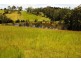 67 Tatnell Road, North Deep Creek QLD 4570