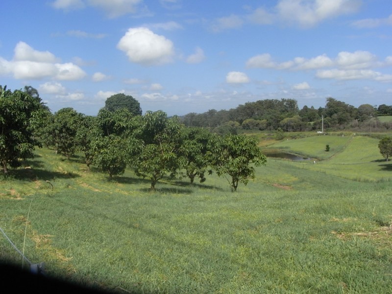 103 Grecian Bends Road, Greens Creek QLD 4570