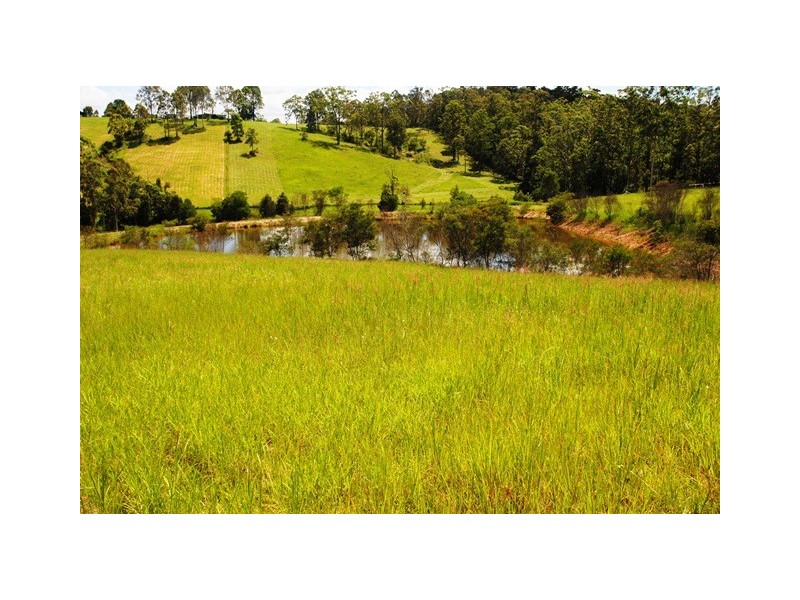 67 Tatnell Road, North Deep Creek QLD 4570