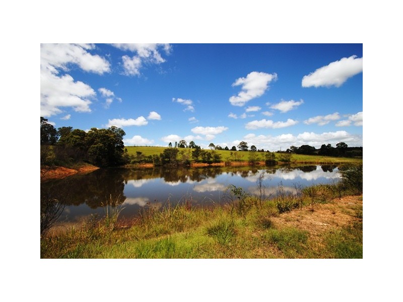 67 Tatnell Road, North Deep Creek QLD 4570