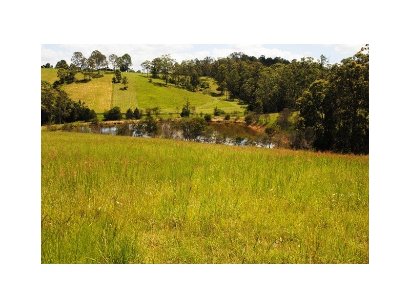 67 Tatnell Road, North Deep Creek QLD 4570