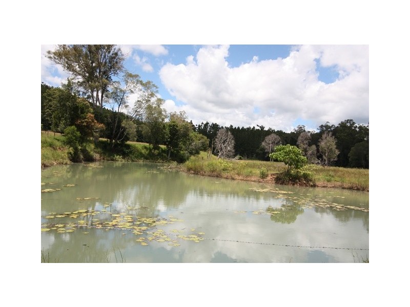 Upper Kandanga QLD 4570