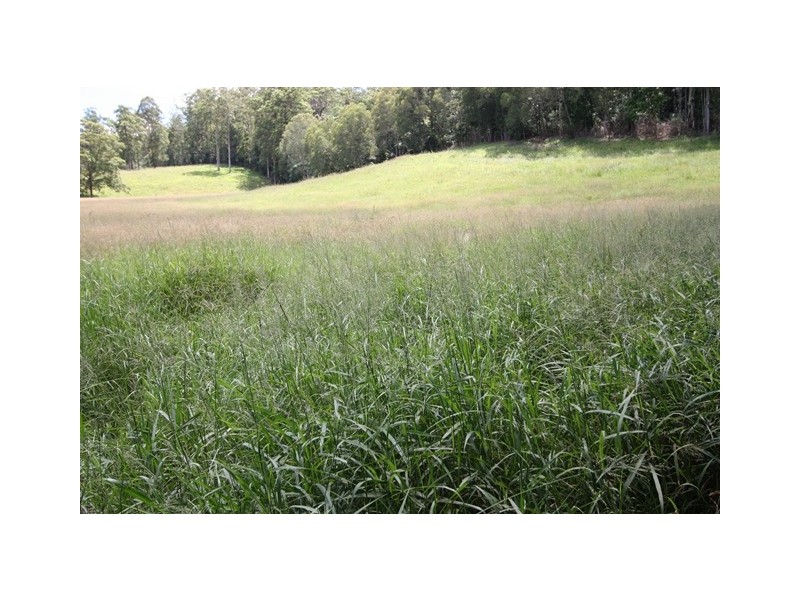 Upper Kandanga QLD 4570