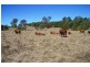 Anderleigh QLD 4570