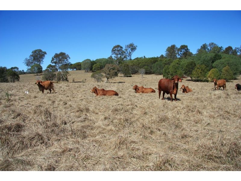 Anderleigh QLD 4570
