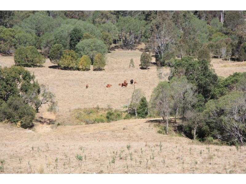Anderleigh QLD 4570