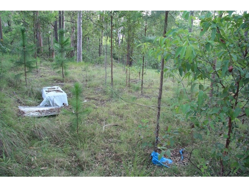 Glenwood QLD 4570