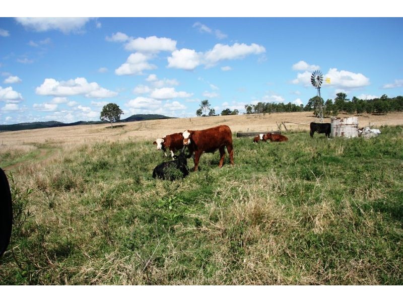 Lower Wonga QLD 4570