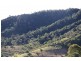 Lot 6 Allen Road, Chatsworth QLD 4570