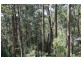 Imbil QLD 4570