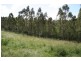Ross Creek QLD 4570