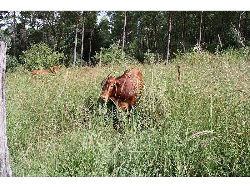 Ross Creek QLD 4570