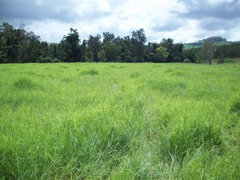 Glastonbury QLD 4570